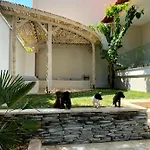 アパート Casa Del Mar Thassos
