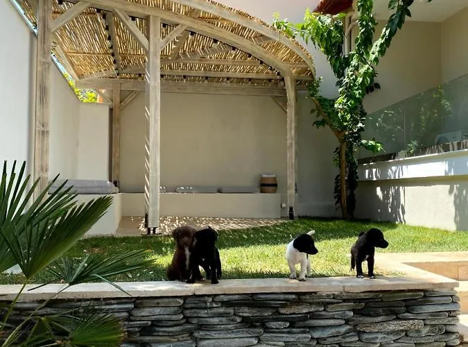 아파트 Casa Del Mar Thassos